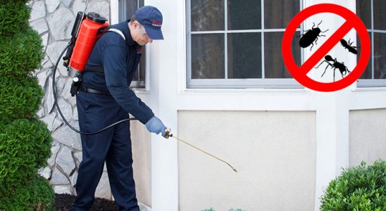 Başmakçı Dezenfeksiyon böcek ilaçlama ve haşere kontrolü — ilaclama-tr.com